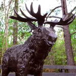 life size alaskan moose sculpture in bronze