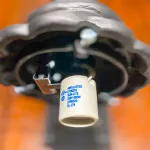 western style buffalo wall sconce for indoor or outdoor lighting