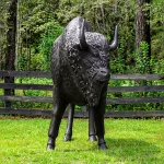 bronze painted buffalo life size statue in metal bison huge dark rich finish