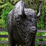 bronze painted buffalo life size statue in metal bison huge dark rich finish