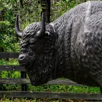 bronze painted buffalo life size statue in metal bison huge dark rich finish