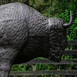 bronze painted buffalo life size statue in metal bison huge dark rich finish