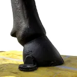 bronze painted buffalo life size statue in metal bison huge dark rich finish