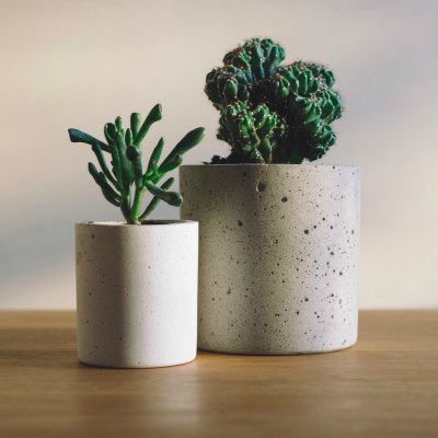 How To Decorate With Houseplants