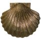 brass sea shell door knocker