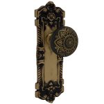 the wells dummy set in highlighted bronze select door knobs