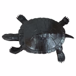 cast aluminum loggerhead sea turtle statue 42 lbs