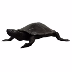 cast aluminum loggerhead sea turtle statue 42 lbs