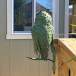 steel perched owl green painted full body 19" tall wall mounted