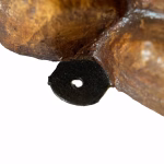 native american cigar store indian chief statue for tobacco lifesize