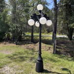 10 ft 5 arm lion pole light for commercial or residential use