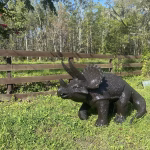 walking baby triceratops dinosaur aluminum statue