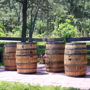 Four Authentic Wooden Whiskey Barrels - Perfect for Tables & Display