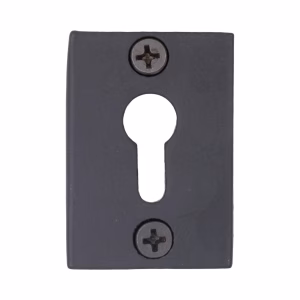 Smooth Square Cast Iron Keyhole Replacement For Doors and Rim Locks