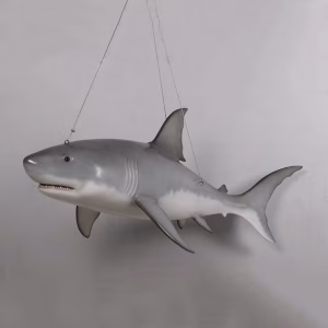 Lifesize Great White Shark Hanging Display 6 foot Long