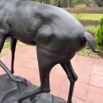 Stag Deer Statue on Rock Base Cast Aluminum Painted Buck Sculpture 67 Inches, back view