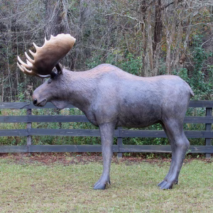 Life Size Moose Statue with Large Antlers, main product photo